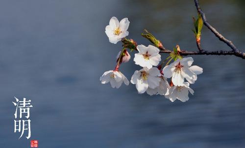 華視智慧辦公空間